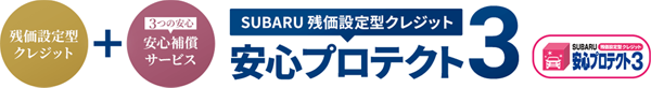 安心プロテクト３