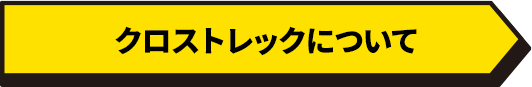 クロストレックについて