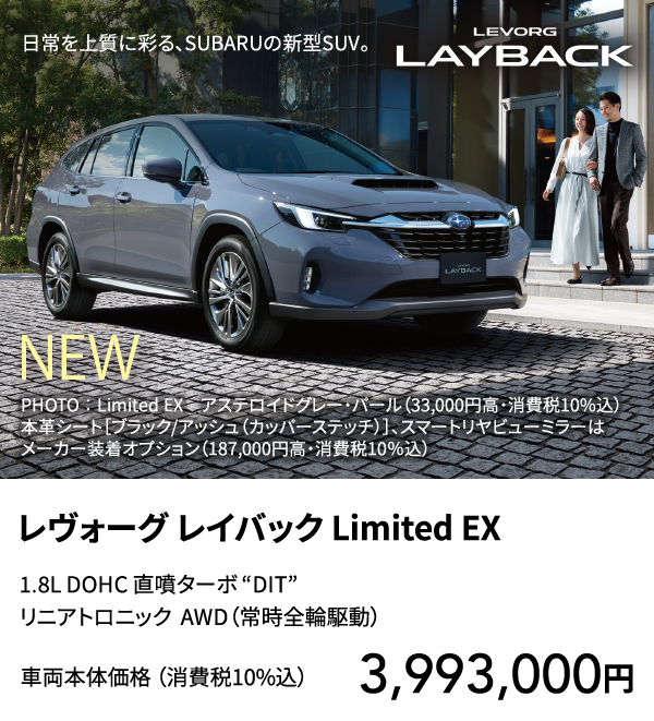 LEVORG LAYBACK