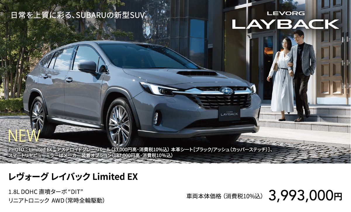 LEVORG LAYBACK