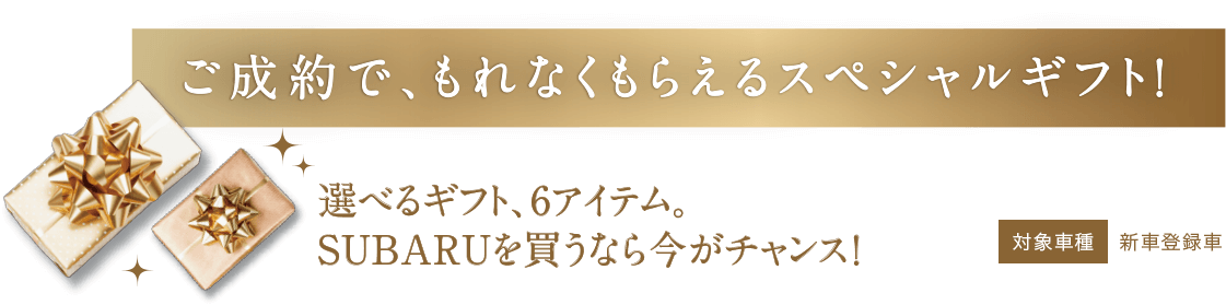 ご成約でもれなくも洗えるスペシャルギフト！選べるギフト、6アイテム。SUBARUを買うなら今がチャンス！対象車種新車登録車