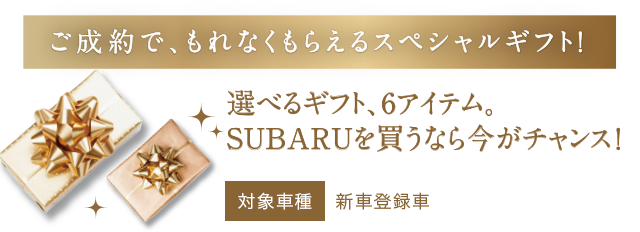 ご成約でもれなくも洗えるスペシャルギフト！選べるギフト、6アイテム。SUBARUを買うなら今がチャンス！対象車種新車登録車
