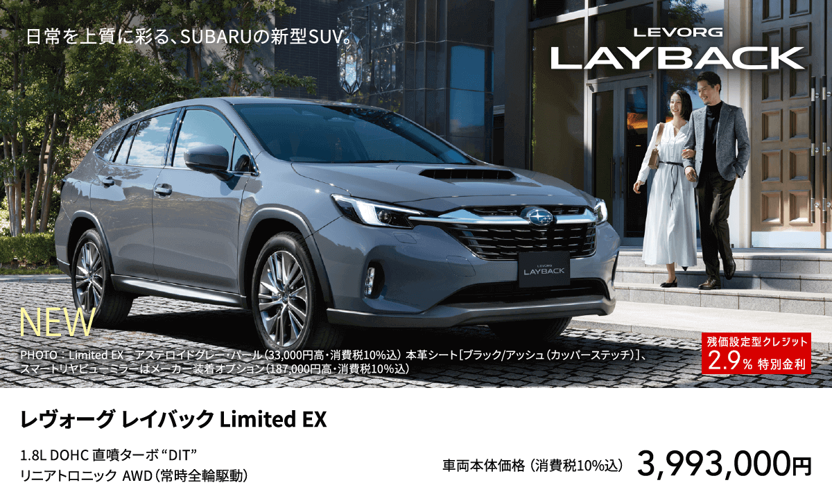 LEVORG LAYBACK