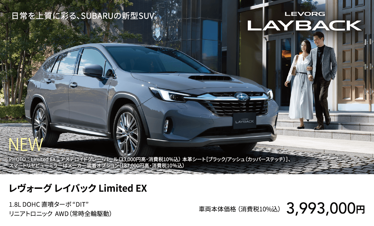 LEVORG LAYBACK