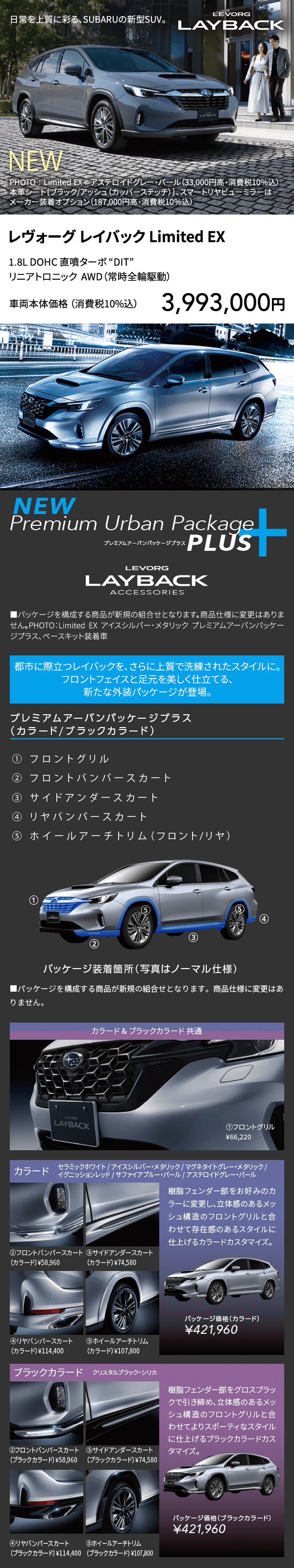 LEVORG LAYBACK