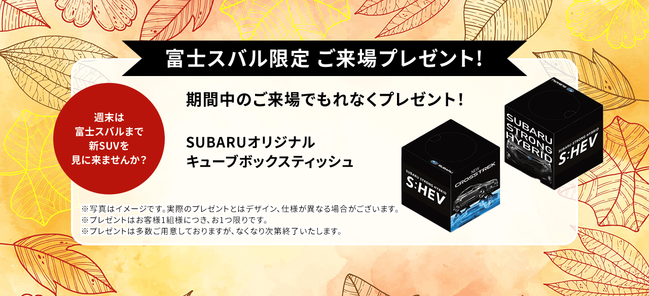 富士スバル限定 ご来場プレゼント!期間中のご来場で！SUBARUオリジナル キューブボックスティッシュをプレゼント