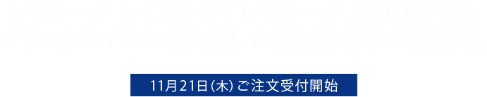 レヴォーグ レイバック