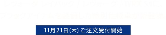 レヴォーグ レイバック 