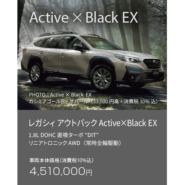 レガシィアウトバックgrand finale fair 1/18sat 19sun & 25sat