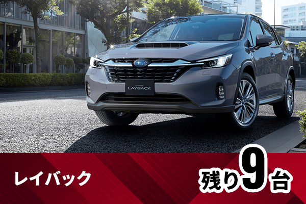 レイバック残り9台