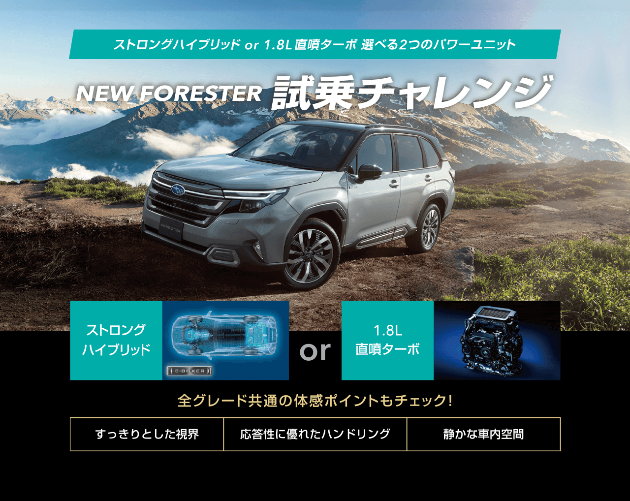 NEW FORESTER 試乗チャレンジ