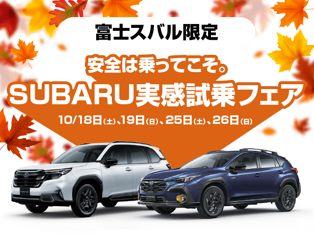 車にセッアップ込み　現在軽自動車登録　２．０　ケンウッド　2030年以降使用可 車にセッアップ込み 現在軽自動車登録 2．0 ケンウッド 2030年以降