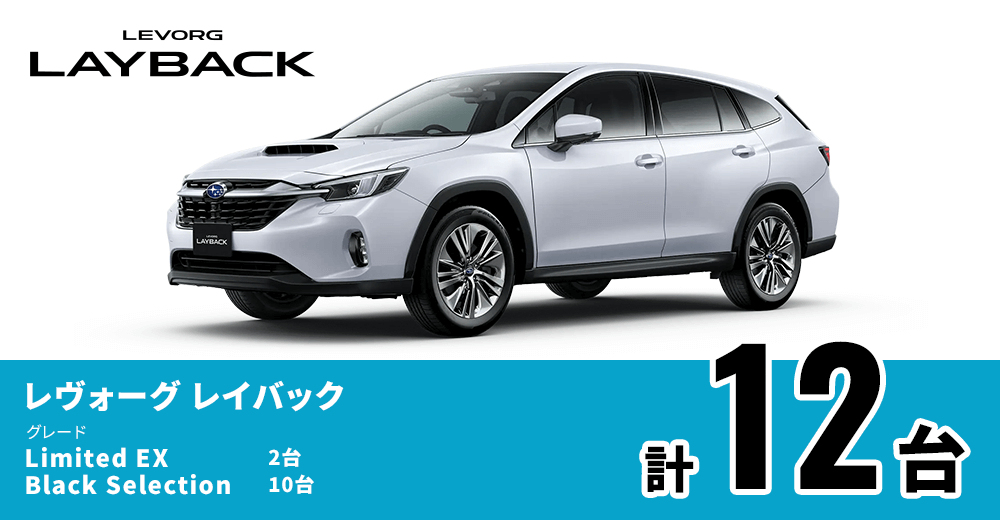 LEVORG LAYBACK レヴォーグ レイバック Limited EX 2台 Black Selection 10台 計12台