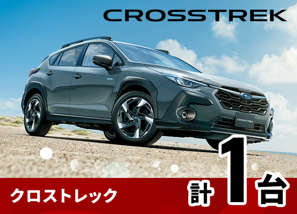 クロストレック計1台